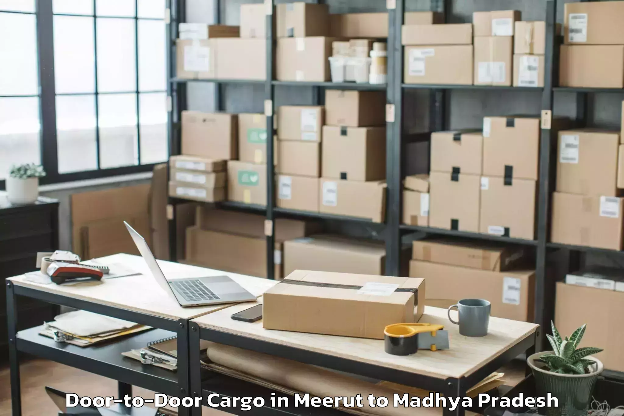 Book Meerut to Alirajpur Door To Door Cargo